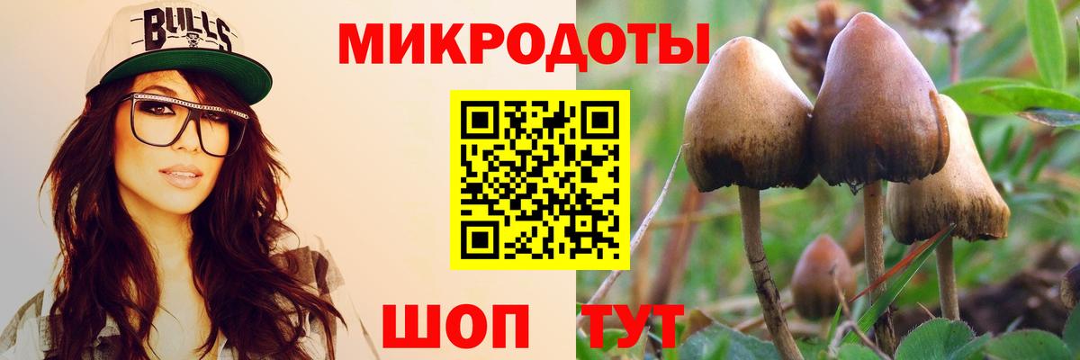 Учалы  Галлюциногенные грибы Psilocybe  Вход с VPN 
